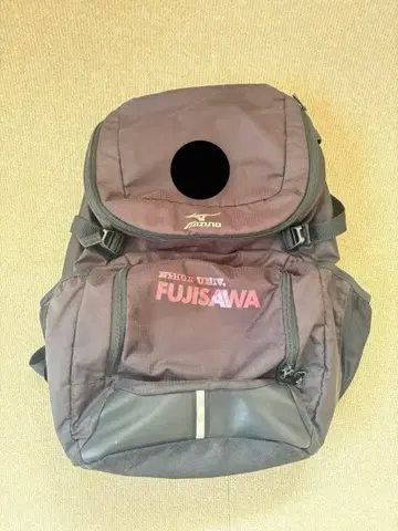 일대등택 축구 백