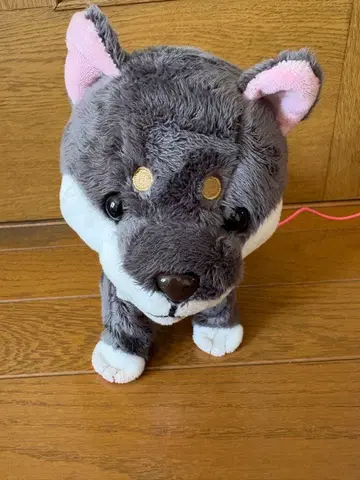 마더 가든 토코토코 산책 쿠로시바짱