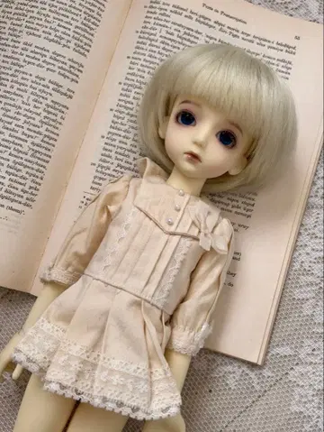 커스텀하우스*Petite Ai*우리에르?