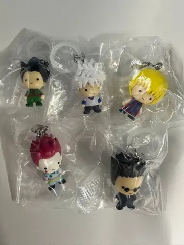 HUNTER x HUNTER 메지루시 액세서리 컴플리트