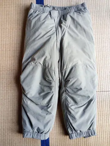 ecwcs Level7 팬츠 M-R