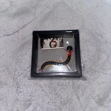 도쿄 구울 ex 도쿄 구울 굿즈 지네 귀마개