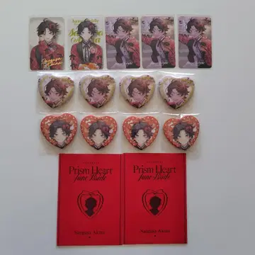 니지산지 사에구사 아키나 준 브라 세트