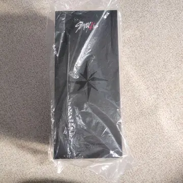 Stray Kids 응원봉 ver.2