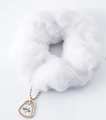 참 포함 스크런치 키타키츠네 키타 신스케 하이큐 이나리자키 아베일