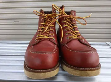 레드윙 8875 깃털 자수 택