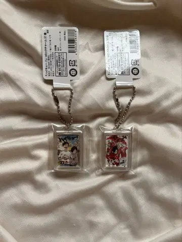 하이큐!! 점프샵 코믹 참 34권, 37권