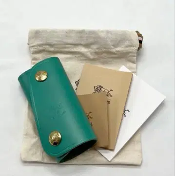 [레어 미사용] 일비종떼 키케이스 페르시아 그린