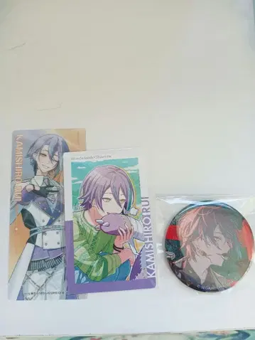 카미시로 루이 묶음 판매