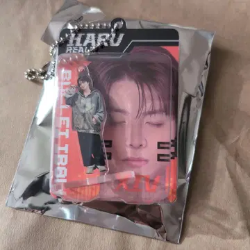 초특급 REAL? 랜덤 Blister 키링 하루