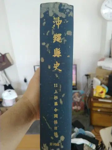 오키나와현사 제11권 사료편1 상삼현령 관계일지