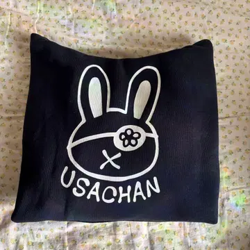 USACHAN 후드티와 토트백 세트