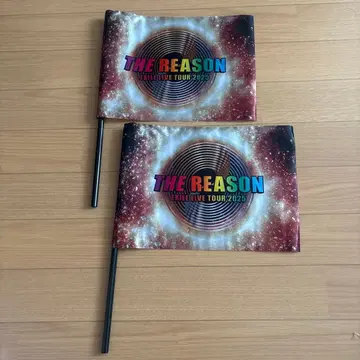 THE REASON EXILE LIVE 2025 플래그 2개 세트