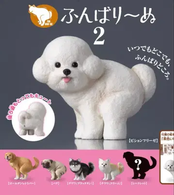 [ 5종 세트 ] 펀바리~누 2 시크릿 없음