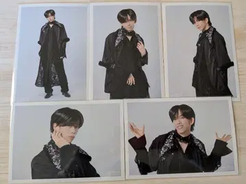 초특급 료가 NINE LIVES A 브로마이드 컴프