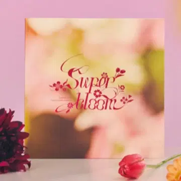 앙스타 팜플렛 스타포니 Ensemble Stars! 혜택