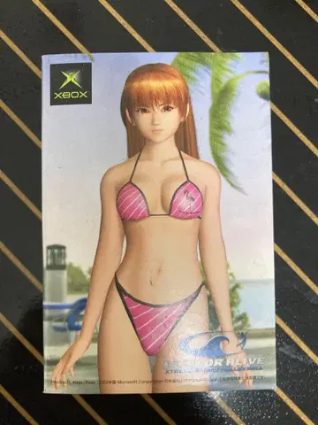 XTREME BEACH VOLLEYBALL 카드놀이