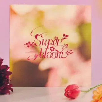 앙스타 스타포니 팜플렛