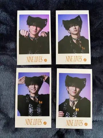 초특급 NINE LIVES 미니 사진 하루 세미 컴프