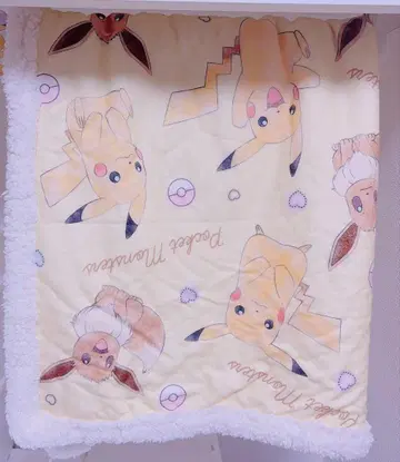 [ 피카츄&이브이 ] 포켓몬 보아 담요 VER.2