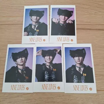 초특급 하루 카시와기 유 미니 사진 5장