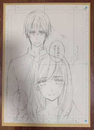 뱀파이어 기사 원화전 직필 원고 하채