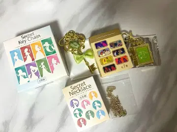 디즈니 스토어 시크릿 참 티아나 세트