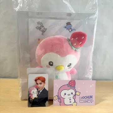 JOCHUM 제오참 뽀뽀 봉제 인형 트레이딩 카드 세트