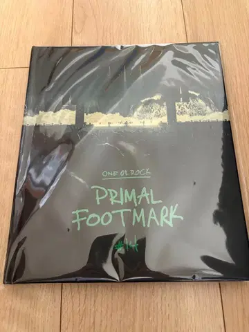 ONE OK ROCK PRIMAL FOOTMARK 2025 14 시리얼