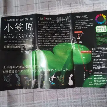 네이처 테크니컬러 오가사와라 큰박쥐