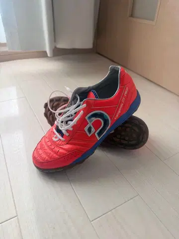 데스포르치 칸피나스