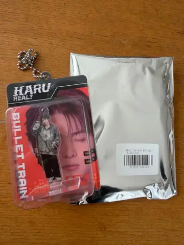 초특급 REAL? 하루 랜덤 블리스터 키링