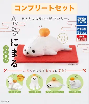 [ 전체 5종 컴프 세트 ] 모치니마루 그 세 번째