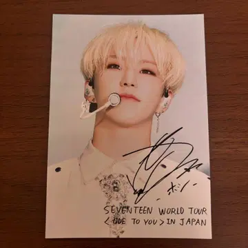 SEVENTEEN 세븐틴 세부치 로손 프린트 L판 호시