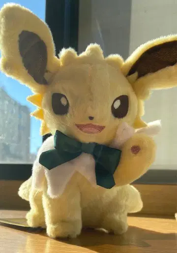 포켓몬 센터 이브이 컬렉션 봉제 인형 썬더