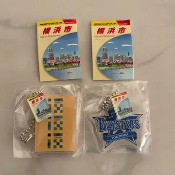 지구의 산책법 하마 컬렉션 요코하마 DeNA 베이스타즈 유린당 요코하마시