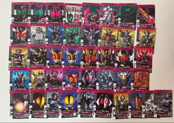 라이더 카드 csm dx