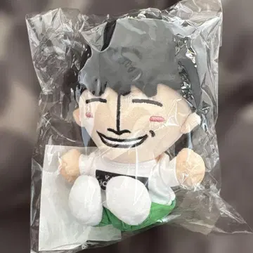 A그룹 사노 마사야 치비 누이