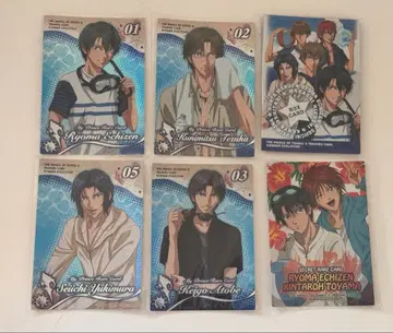 신 테니스의 왕자님 트레이딩 카드 SUMMER EVOLUTION 한정판