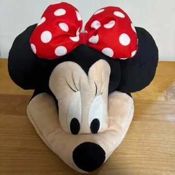 디즈니 미니 팬캡