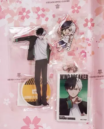 윈브레 사쿠라 하루카 베이스 야드 윈브레전