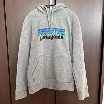 patagonia 그레이 후드 부착 후드티