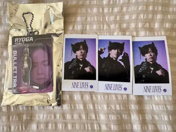 초특급 REAL? 랜덤 블리스터 키링 트레이딩 카드 료가