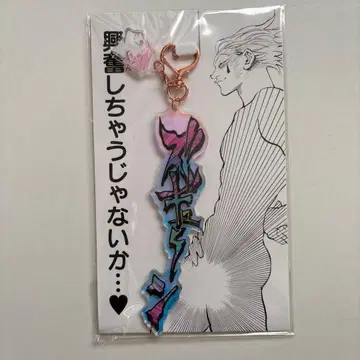 헌터헌터 히소카 아크릴 키링