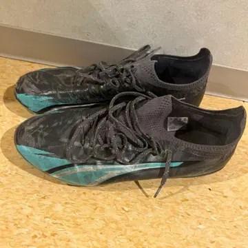 푸마 울트라 얼티밋 러쉬 FG/AG