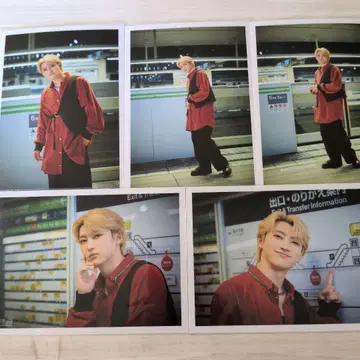 초특급 NINE LIVES 브로마이드 B 유키 컴프 1