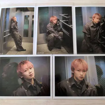 초특급 NINE LIVES 브로마이드 B 슈야 컴프 1