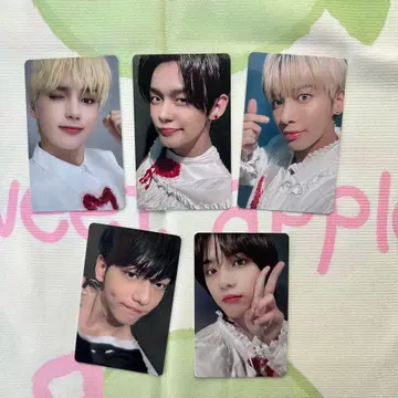 TXT 2021 설문조사 회원 한정판 FC 당첨 트레이딩 카드 5장