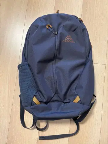 그레고리 루누 20