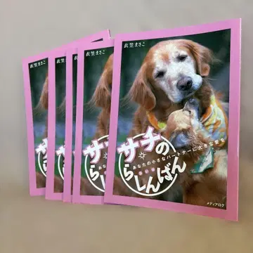 사치의 난쟁이 4권 세트 NONI의 도서